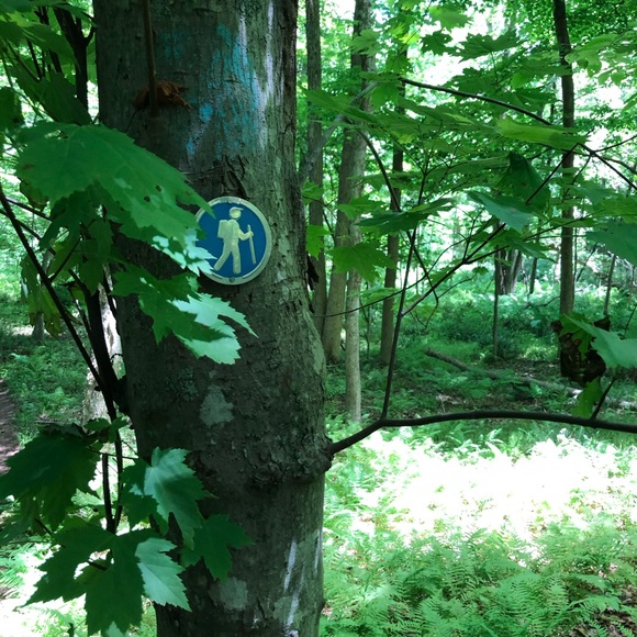 🙂 - Picture 11 of 15